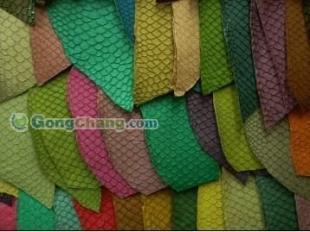 供应厂家直销彩花蛇皮 广州天利蛇皮批发零售价