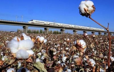 从阿迪达斯抵制新疆棉花到《青3》风波 透视镜像翻转与服装零售的品牌应对策略